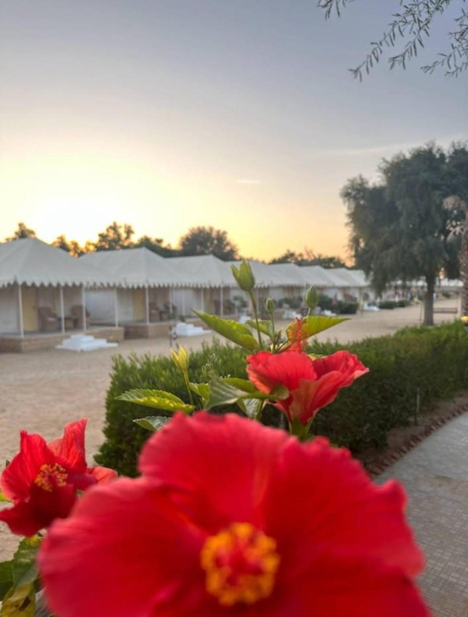 Sam Dunes Desert Luxury Camp & Resort Jaisalmer Esterno foto